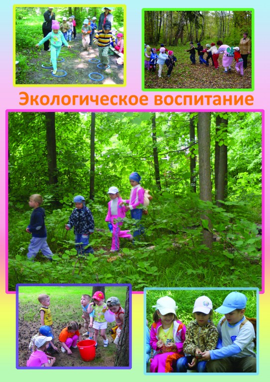 Проводятся тематические экскурсии за пределы детского сада.